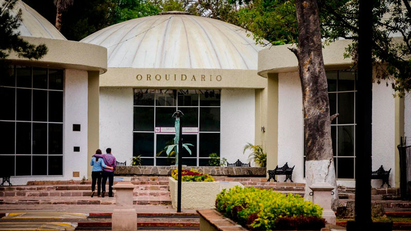 Estas vacaciones, conoce las especies que guarda el Orquidario de Morelia 