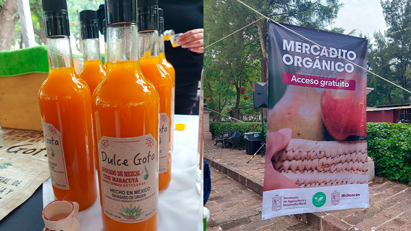Ofrece Mercadito Orgánico AgroSano, mezcal artesanal del municipio de Madero 