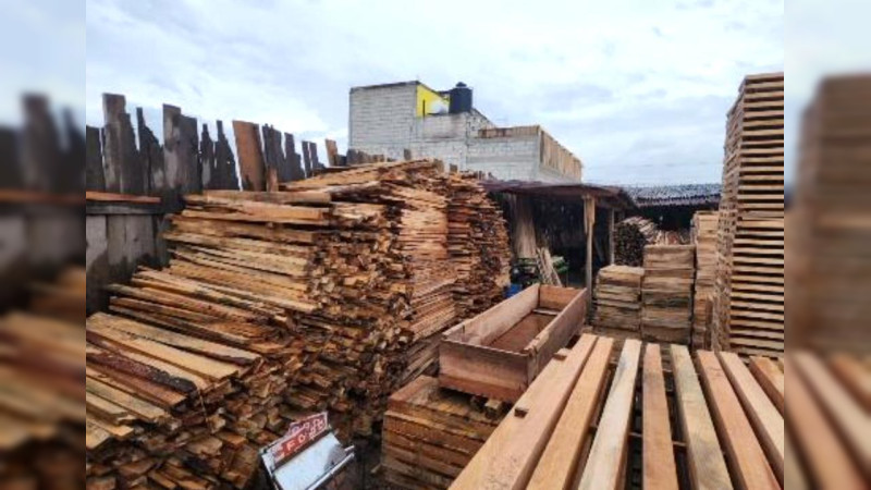 Aseguran más de mil 800 piezas de madera talada ilegalmente en el Edomex 