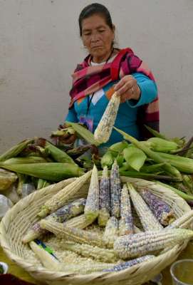La mayor aportación cultural al estado son los pueblos originarios - Foto 0 