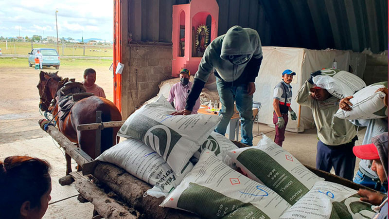 Avanza 87.5 por ciento la entrega de fertilizante gratuito en Aguascalientes 