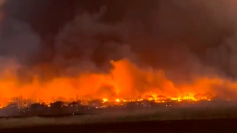 Incendios forestales en Hawái, afectan la ciudad Lahaina en la isla de Maui  