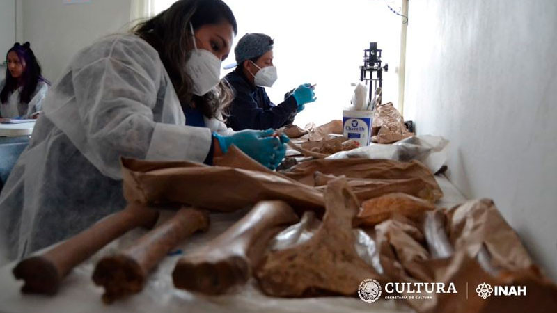 INAH presenta hallazgos del Proyecto Salvamento Arqueológico Trolebús Chalco-Santa Martha 