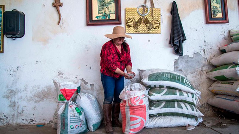 Arranca Agricultura entrega de fertilizante gratuito en San Luis Potosí 
