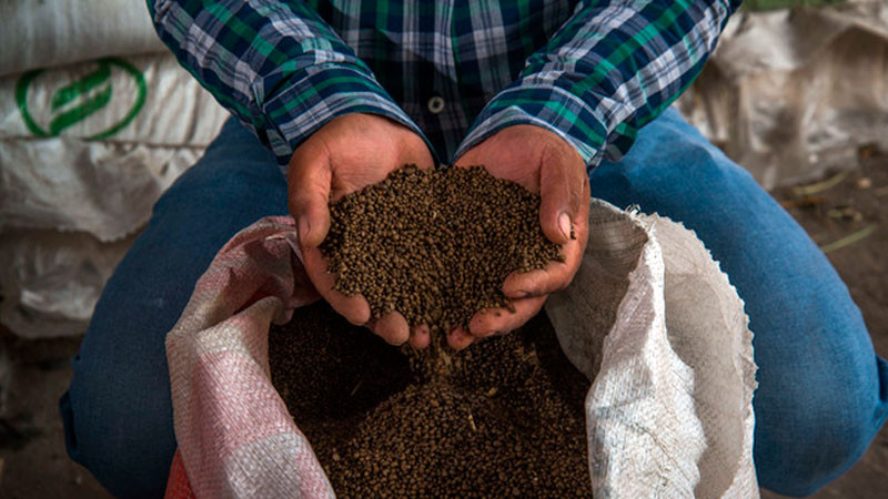 Entregará Agricultura más de 29 mil toneladas de fertilizante gratuito a productores de Chihuahua 