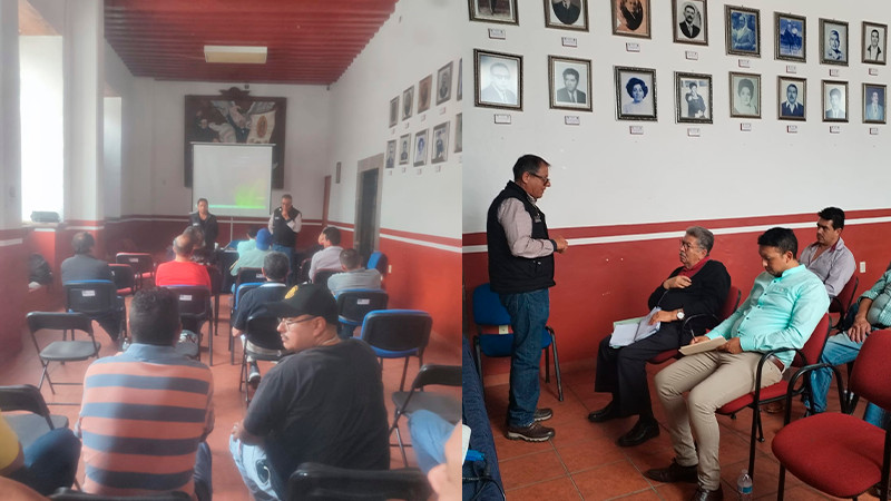 Salud Michoacán vigila que Pátzcuaro venda carne libre de clembuterol 