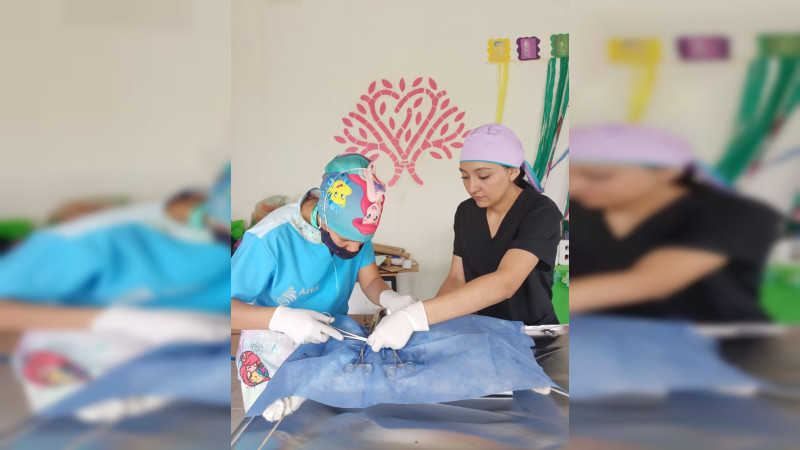Sedebi lleva jornada de esterilización canina y felina a Jacona 