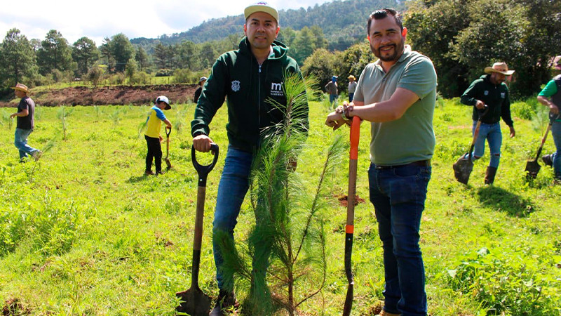 Ayuntamiento de Morelia avanza en la Campaña de Reforestación 2023