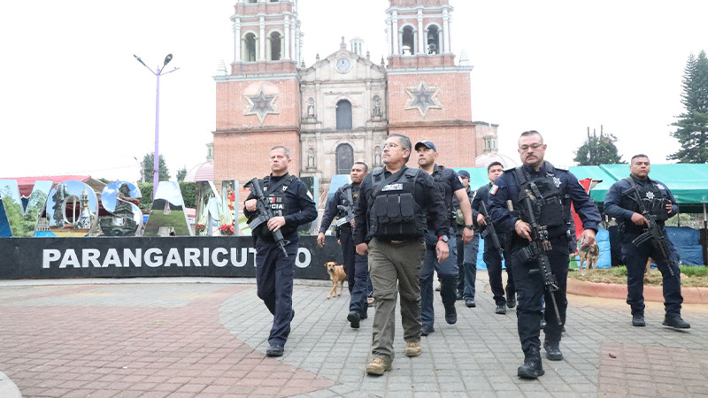 Elementos de la Guardia Civil han sido capacitados en derechos humanos: Ortega Reyes
