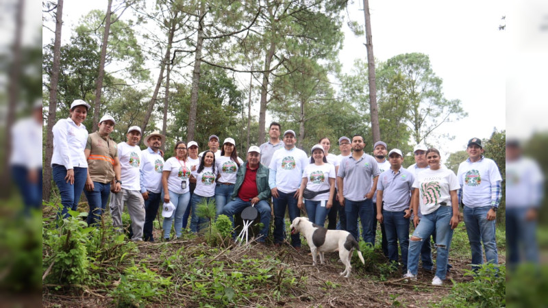 Plantan Proam y empacadora 3 mil árboles en bosques de Uruapan 