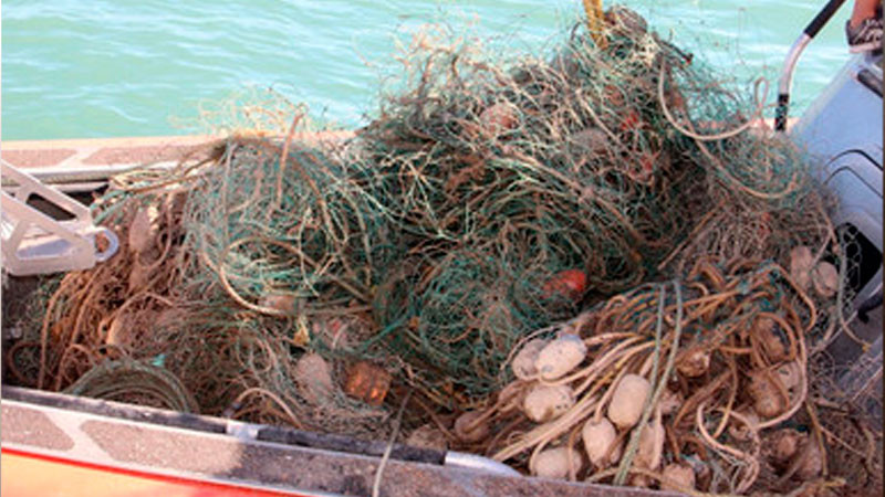 Destruyen más de 15 mil metros de redes de pesca en Zona de Refugio para protección de la vaquita marina 