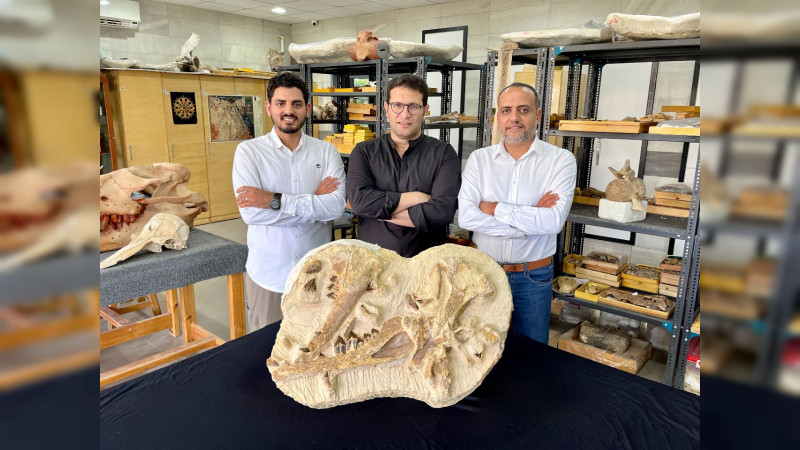 Descubren restos de una ballena de 41 millones de años, en Egipto 