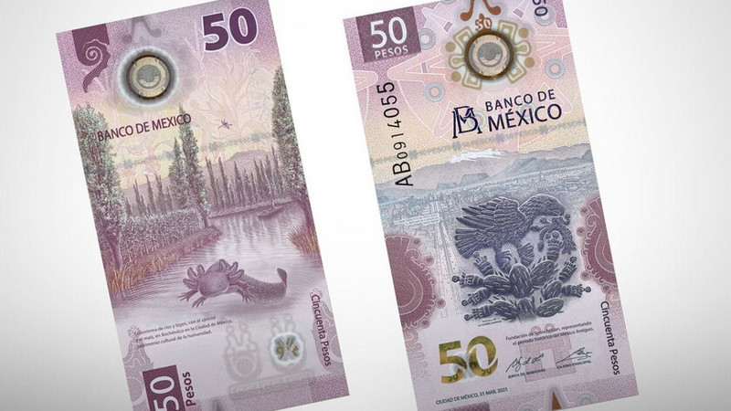 Alertan sobre engaños y estafas en compraventa de billetes y monedas 