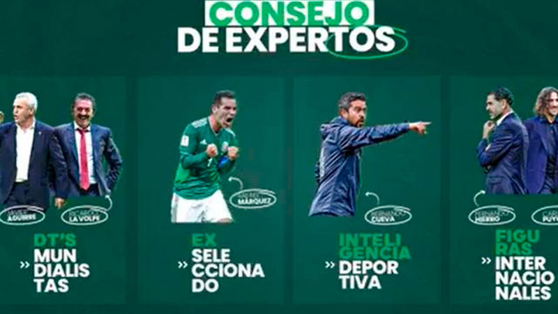 Qué es y cómo funciona el Consejo de Expertos de la FMF 