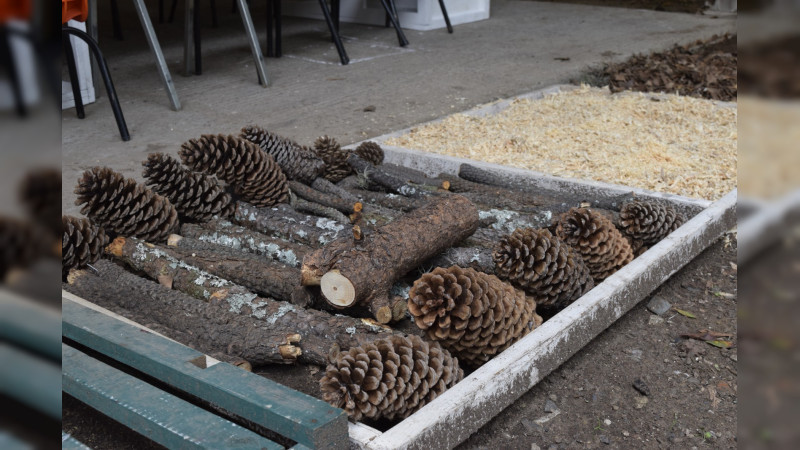 Inicia Cofom curso de verano sobre reciclaje y cuidado del medio ambiente