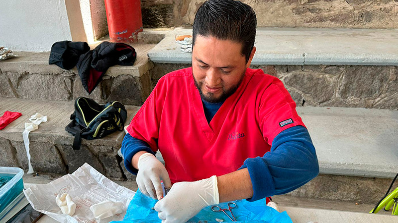 Esteriliza Salud Michoacán 90 perros y gatos en Talpujahua y Angangueo 