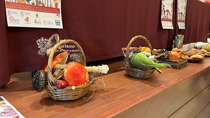 Conoce las más de 250 especies de hongos en la feria de Senguio 