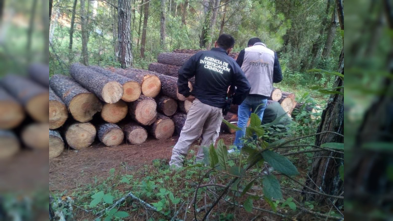 Investiga FGR a cuatro presuntos talamontes en Tancítaro 