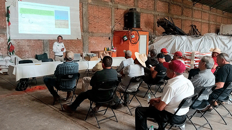 Sader y productores de Jeráhuaro alistan plan regional frutícola 
