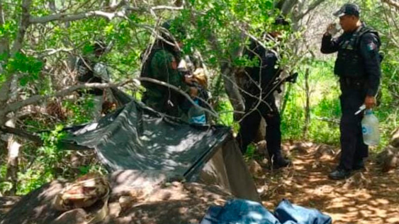 Destruyen elementos de seguridad, campamento para presuntas actividades ilícitas, en Apatzingán
