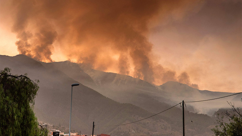 Incendio forestal de Tenerife, España; el fuego se ha extendido sin control 