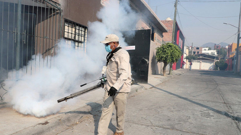 Michoacán acumula 6 años libre de zika y chikungunya: Salud Michoacán 