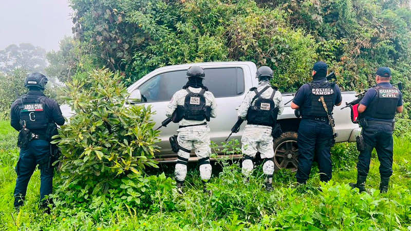 En tres municipios de Michoacán, la SSP asegura siete vehículos; hay una detenida