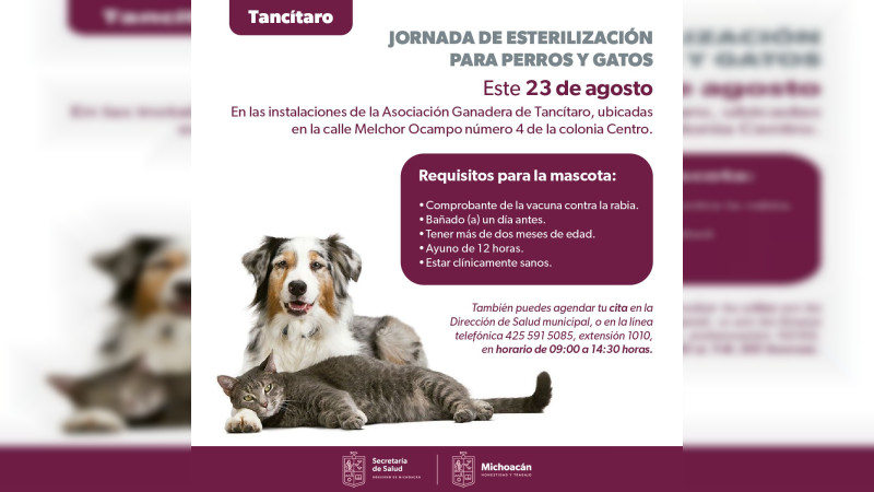 Anuncia SSM jornada gratuita de esterilización canina y felina en Tancítaro 