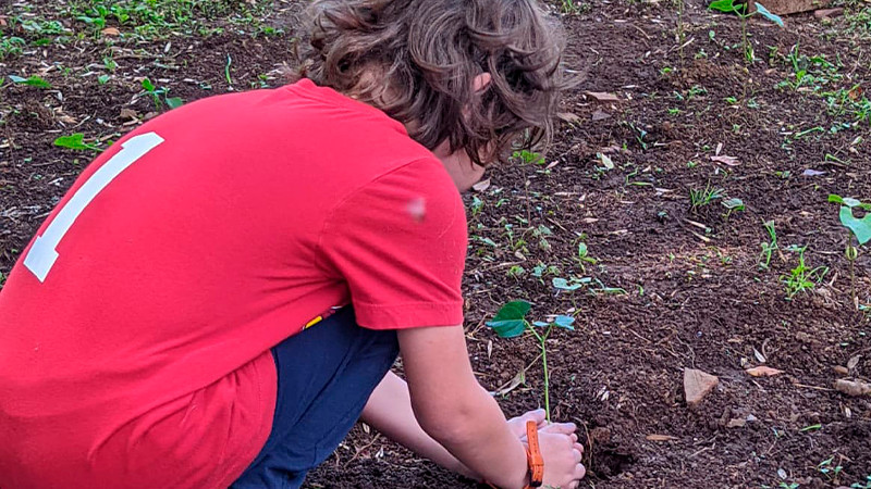 Secum cierra cursos de verano con casi 3 mil participaciones