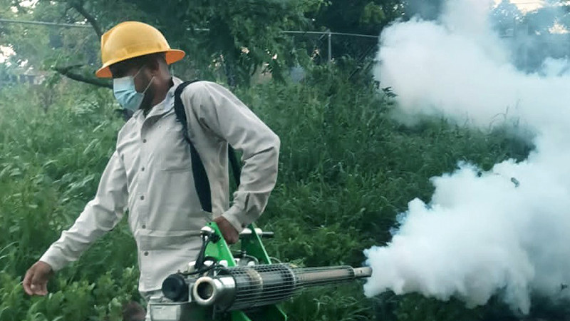 Protegerá Salud Michoacán contra el dengue más de 55 mil viviendas en Lázaro Cárdenas