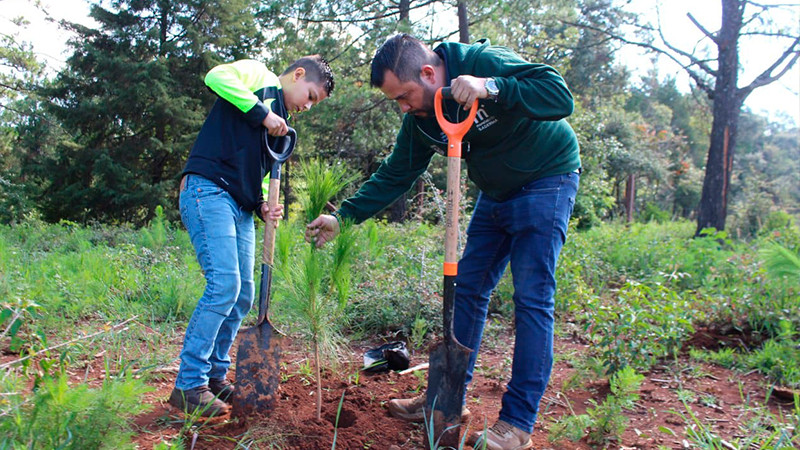 Sin bajar la guardia, Morelia continúa con la creación de nuevos bosques