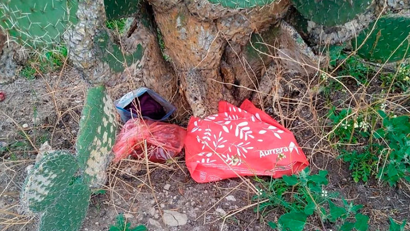 Abandonan a recién nacida debajo de una nopalera en Hidalgo 