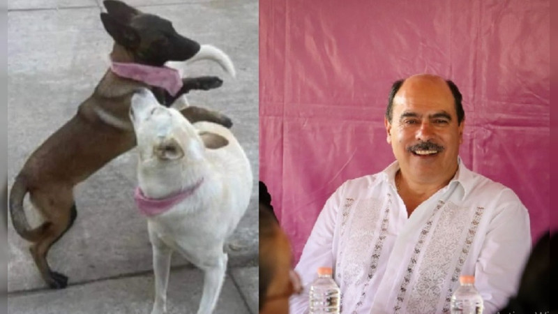 A billetazos, alcalde de Tangancícuaro libra la cárcel tras matar a dos perritas: Pagará 40 mil a familia, construirá albergue y monumento 