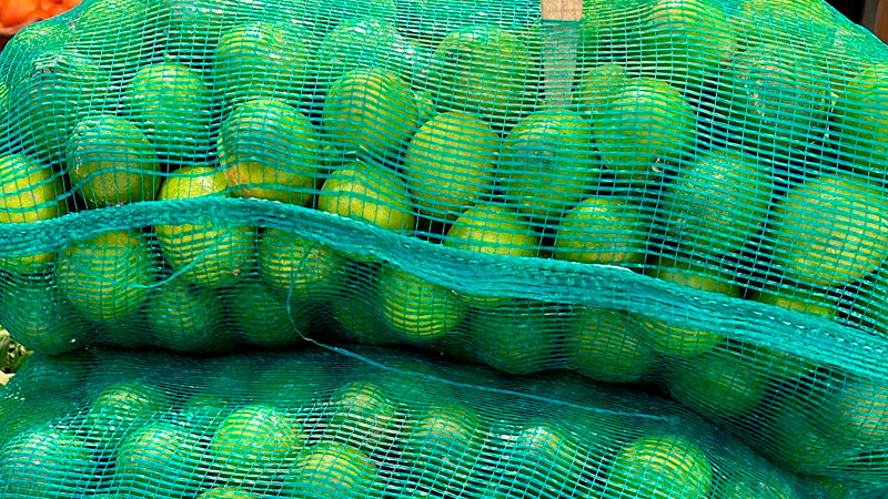 En Michoacán, temporada alta de limón mexicano empieza en octubre 