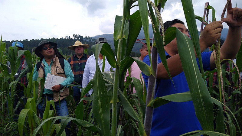 Alumnos de comunidades marginadas, se capacitarán en agricultura ecológica: Sader 