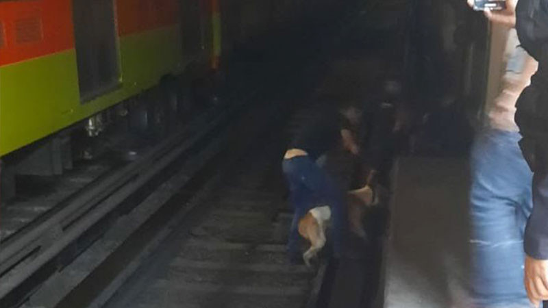 Rescatan a perrito en vías del metro CDMX, antes de ser arrollado 