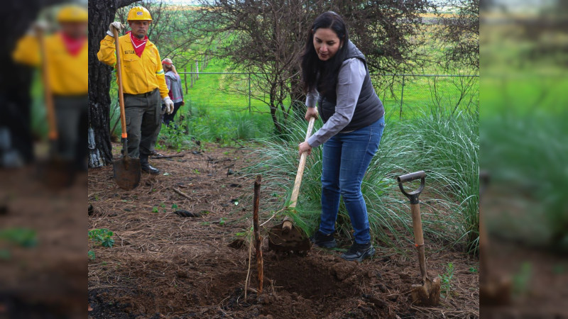 Yadira Ramírez encabeza jornada de reforestación en el Icatmi de Corupo