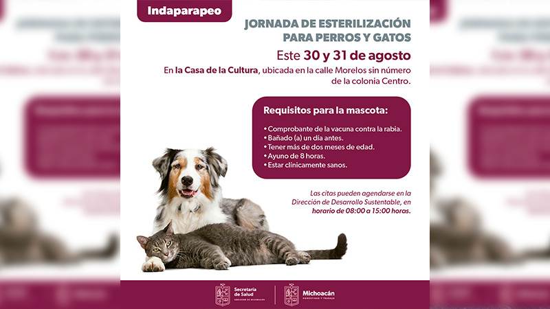 Llevará Salud Michoacán jornada de esterilización canina y felina a Indaparapeo 