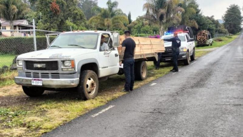 Decomisan 145 piezas de madera en Tacámbaro, presuntamente procedentes de la tala ilegal 