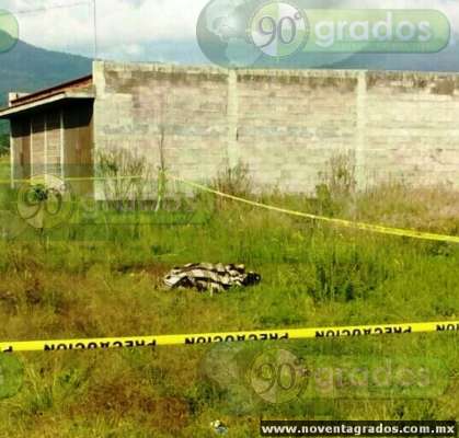 Localizan cadáver semidesnudo en predio de Zacapu, Michoacán 