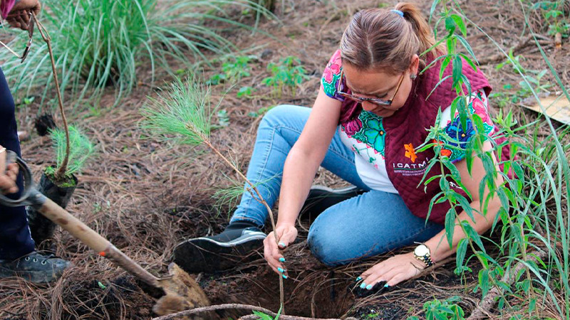 Icatmi planta 400 árboles en plantel de comunidad purépecha de Uruapan