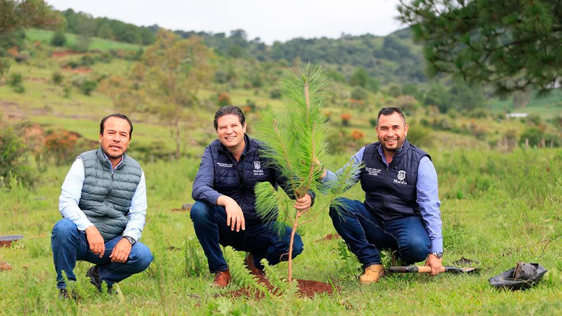 Morelia se acerca a la meta de plantar más de un millón de árboles