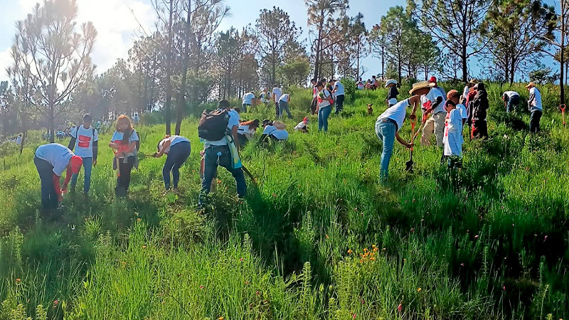 Secma invita a reforestar este sábado el cinturón verde de Morelia