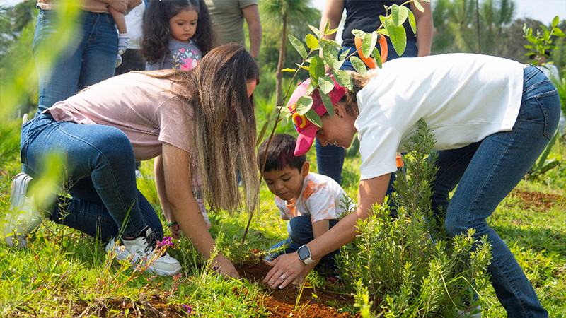 Un día de amor por la naturaleza: la diputada Daniela De Los Santos encabeza reforestación en Umécuaro