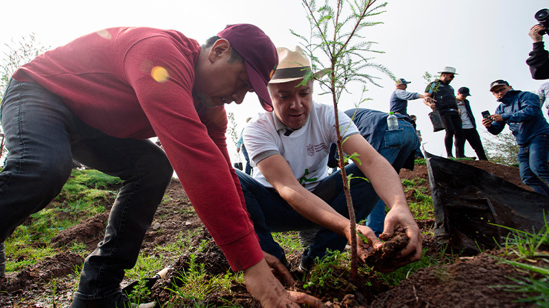 Reconstrucción de Michoacán incluye el entorno natural: Luis Navarro