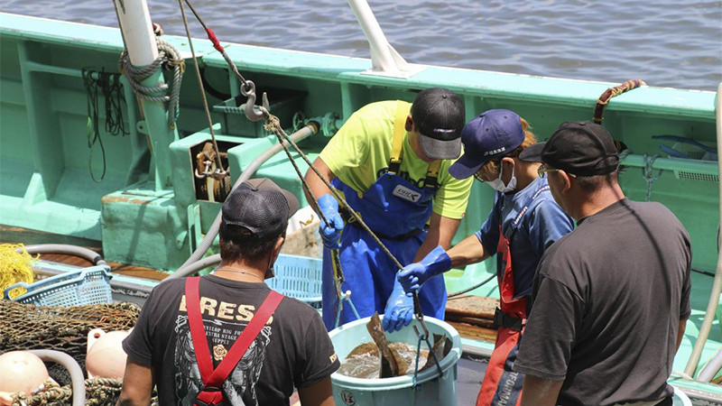 Pescadores y residentes de Fukushima demandan al gobierno Japonés por vertido nuclear al océano 