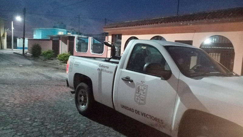 Michoacán, sin registro de defunciones por dengue: Salud Michoacán 
