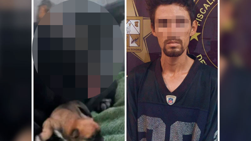Cae hombre que hirió a perrita con un cuchillo en Sonora; el can fue rescatado junto a sus cachorros 