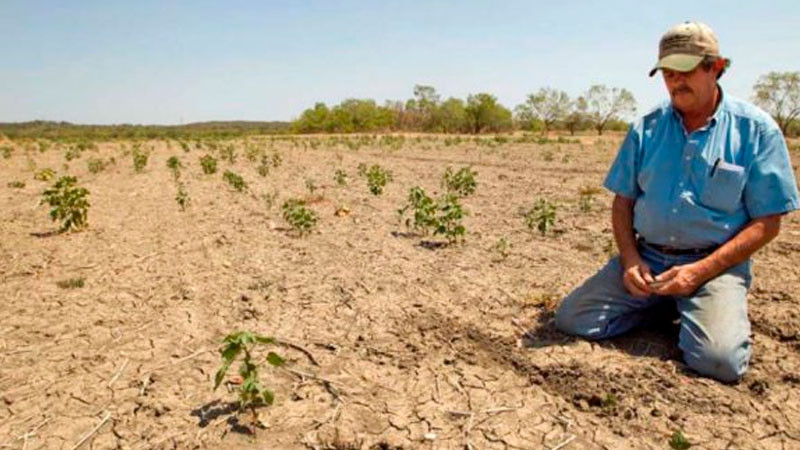 Aplica Agricultura estrategia integral de atención a la sequía en el campo zacatecano 