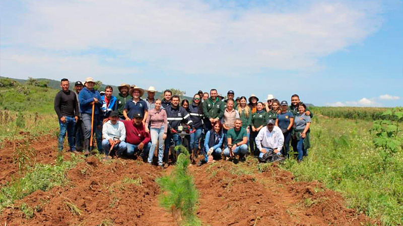 Nuevo bosque de pino brindará servicios ambientales a Morelia